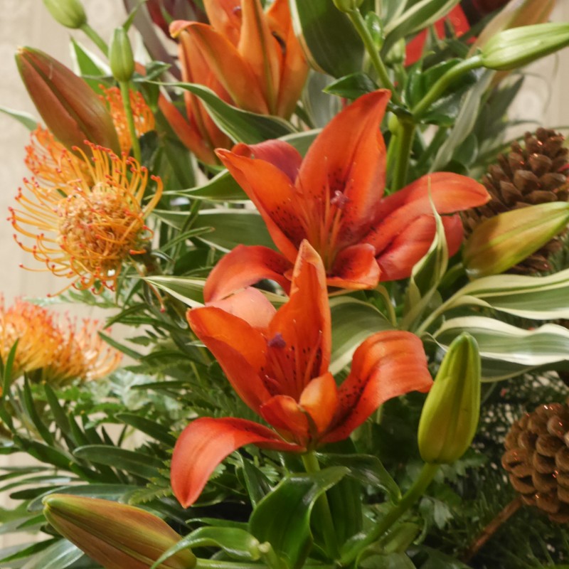 ‘Seasonal Splendour’ Flower demonstration by Mrs Linda Soutar